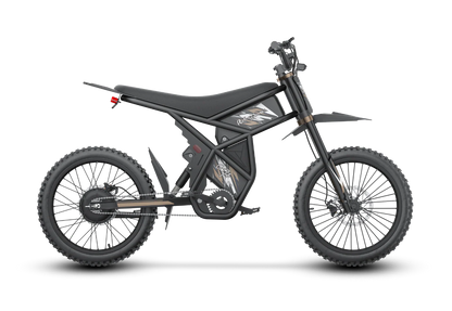 GT73 Pro Electric Dirt Bike 60V 3000W